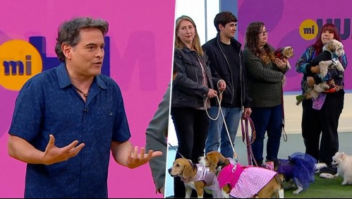 ¡Llegó con compañía! Sebastián Jiménez visita MG rodeado de perritos y adelante estreno de 'Mi humano y yo'