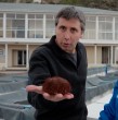 Tomás Vigneaux llega hasta el Centro de Investigaciones Marinas de la Universidad Andrés Bello, en Quintay, para conocer una iniciativa que busca recuperar uno de los recursos más emblemáticos de nuestras costas: el erizo rojo.
