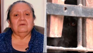 Pide que le prohíban tener animales: Marisol asegura que vecina no cuida a sus perros y provoca malos olores