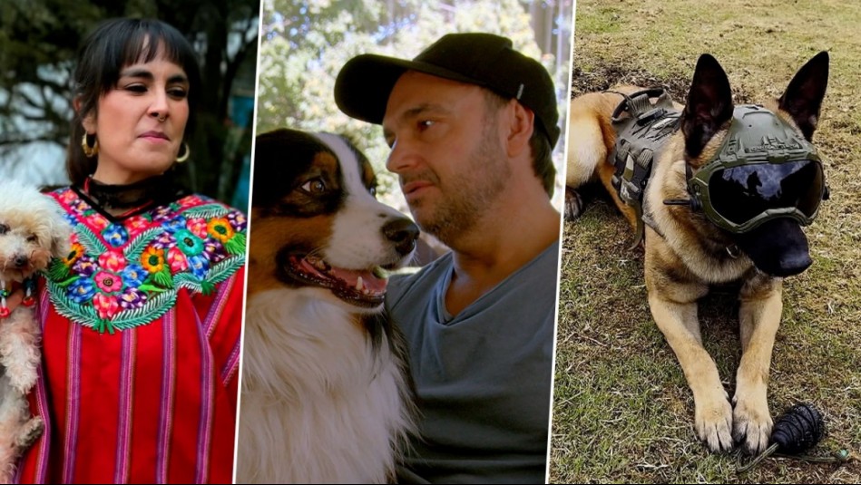 Mi Humano y Yo - Capítulo 2: Dorotea, Lonko y Rocky