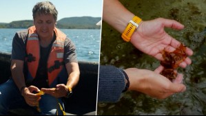 Agua Viva - Temporada 2 - Capítulo 7: El Huiro y el valor de las macroalgas como cultivo sostenible en Chile