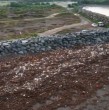 Revisa acá las impactantes imágenes de la playa de Llolleo que se encuentra con toneladas de basura.