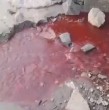 Análisis del estero Quichiuto en Tomé detectaron efectos de toxicidad crónica tras la aparición de aguas rojas.