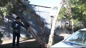 Rayo partió un árbol en dos en Estación Central: Parte de su estructura cayó sobre el muro de una casa