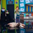 En los mejores momentos de Detrás del Muro, en la reunión de apoderados, Cedrón del bosque (Toto Acuña) y Albahaca Dorada (Belén Mora) sacaron risas con creativo poema musical que recitaron en la escuelita.