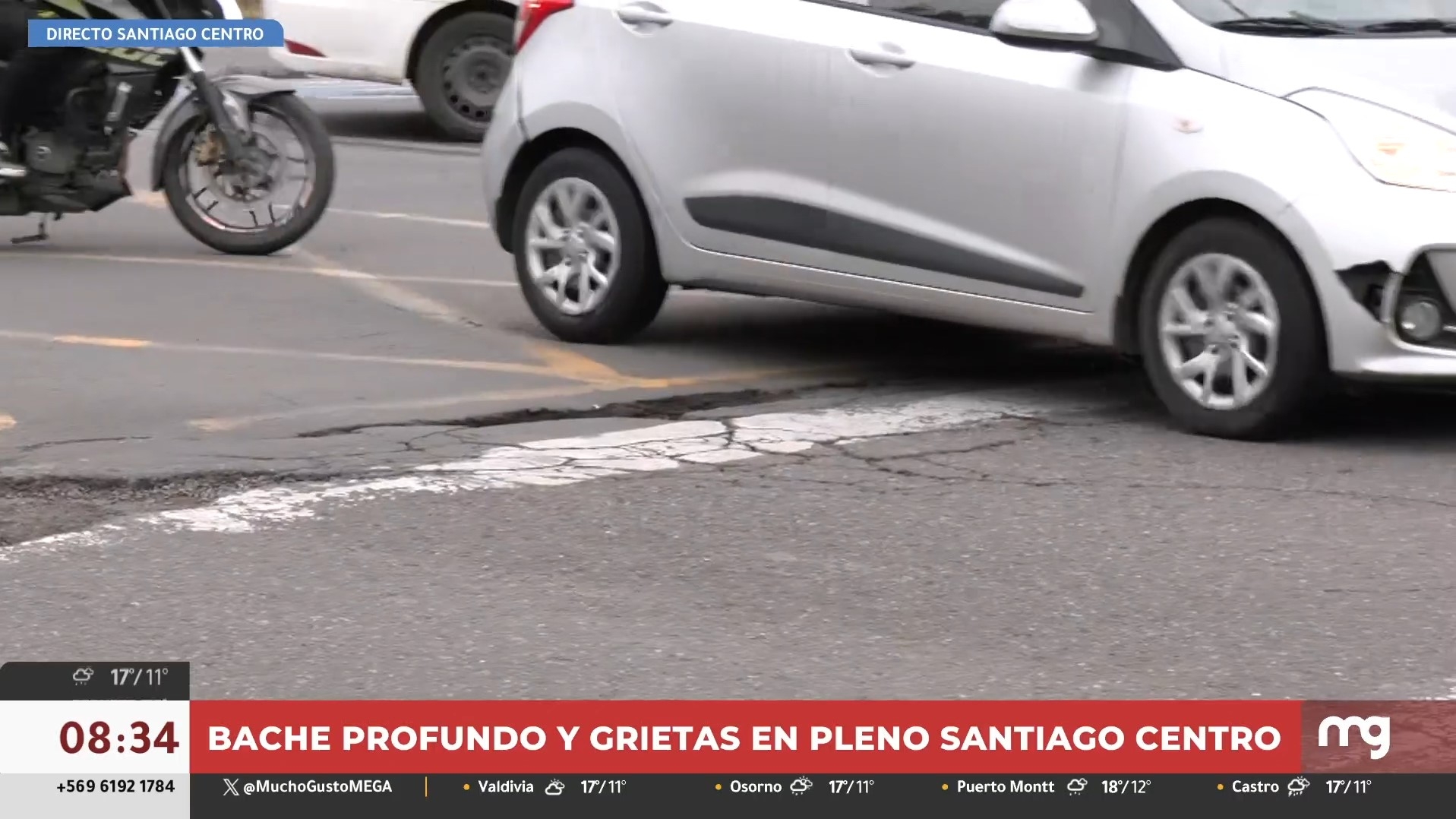 Bache