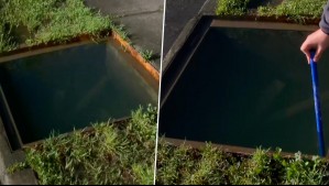 Preocupación por 'trampa de agua' en Talcahuano: Guardia de seguridad cayó y quedó con heridas de importancia