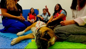 Mi Humano y Yo - Capítulo 4: Rina, la terapeuta estrella de la Teletón