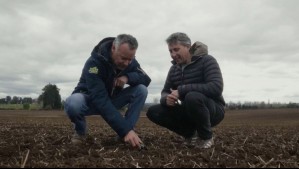 Agua Viva - Temporada 2 - Capítulo 9: Innovación y economía circular en la salmonicultura chilena
