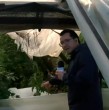 Una intensa granizada afectó cultivos e invernaderos en Colín, comuna de Maule. Agricultores estiman que perdieron el 60% de la cosecha de tomates, pepinos y morrones, lo que podría impactar los precios de las verduras.