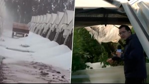 Granizada destruyó invernaderos en Maule: Agricultores estiman pérdida del 60% de la cosecha