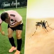 Mira acá el viral que deja en evidencia plaga de zancudos en Talcahuano.