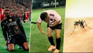 No era el 'mosquito Dembélé': Viral muestra plaga de zancudos durante partido de futbolito en Talcahuano