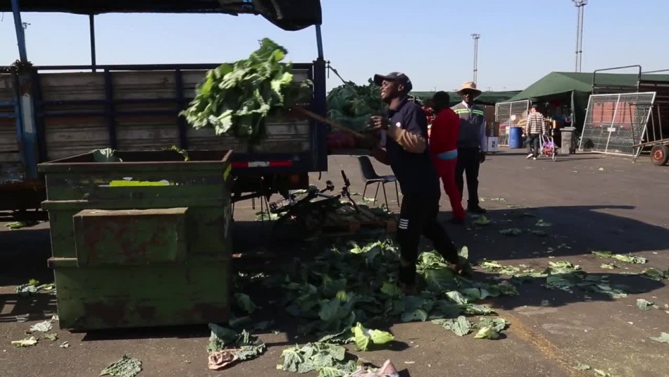 Lo Valledor ayuda a Petorca por la sequía: Envían residuos vegetales para alimentar a animales Lo Valledor ayuda a Petorca por la sequía: Envían residuos vegetales para alimentar a animales