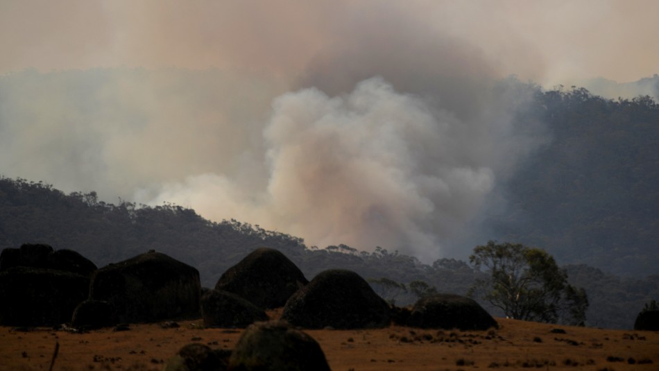 Incendios en Australia. La lluvia da un respiro en los enormes incendios forestales que azotan a Australia