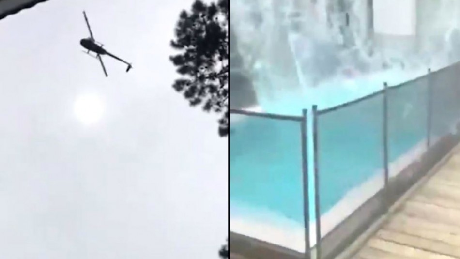 Cordero Argentina La supuesta explicación del cordero lanzado desde un helicóptero a una piscina en Argentina