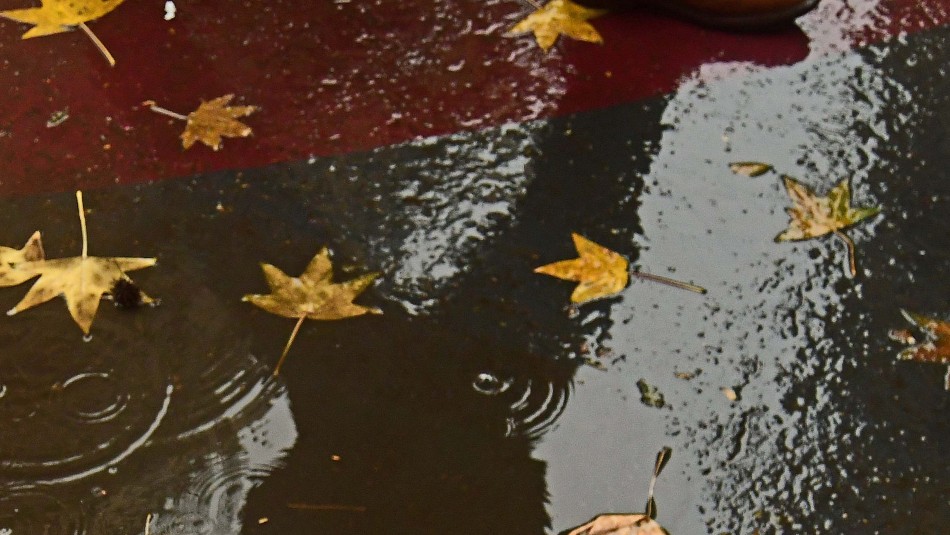 Imagen referencial Usuarios de redes sociales registran lluvia que cayó sobre Santiago este domingo