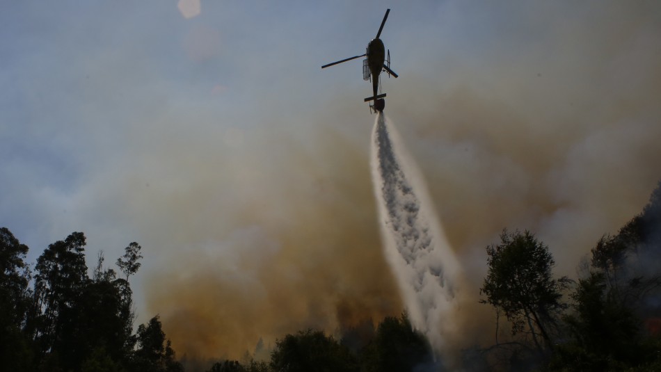 Foto referencial. Onemi declara alerta roja en cuatro comunas del país por incendios forestales