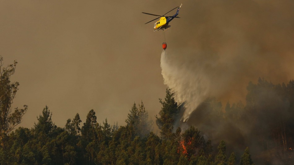 Incendio forestal en Chiguayante Chiguayante: Incendio ha consumido 450 hectáreas y se extendió hasta Reserva Nacional Nonguén