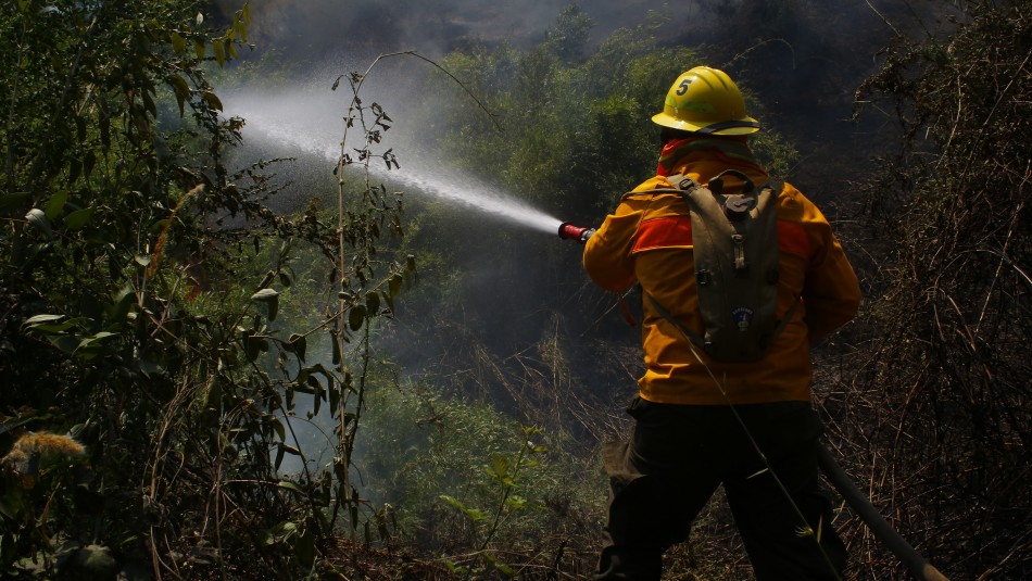 Incendio forestal en Chiguayante Incendios forestales activos han consumido más de 1.200 hectáreas en la región del Biobío