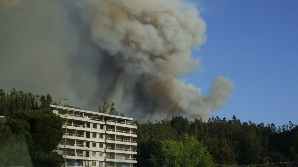 Incendios forestales en región del Biobío: Se han consumido 1.880 hectáreas por el fuego