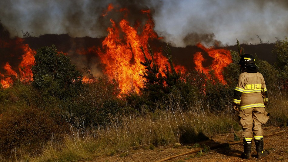 Imagen referencial Declaran Alerta Roja en comunas de Concepción y de Perquenco por incendios forestales