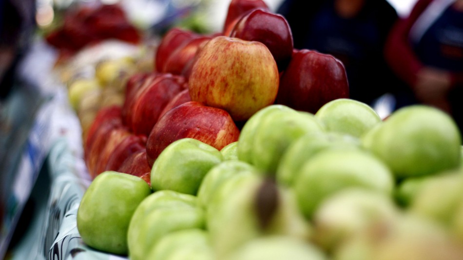Obesidad y depresión: Conoce cómo combatir estas enfermedades con una buena alimentación Obesidad y depresión: Conoce cómo combatir estas enfermedades con una buena alimentación