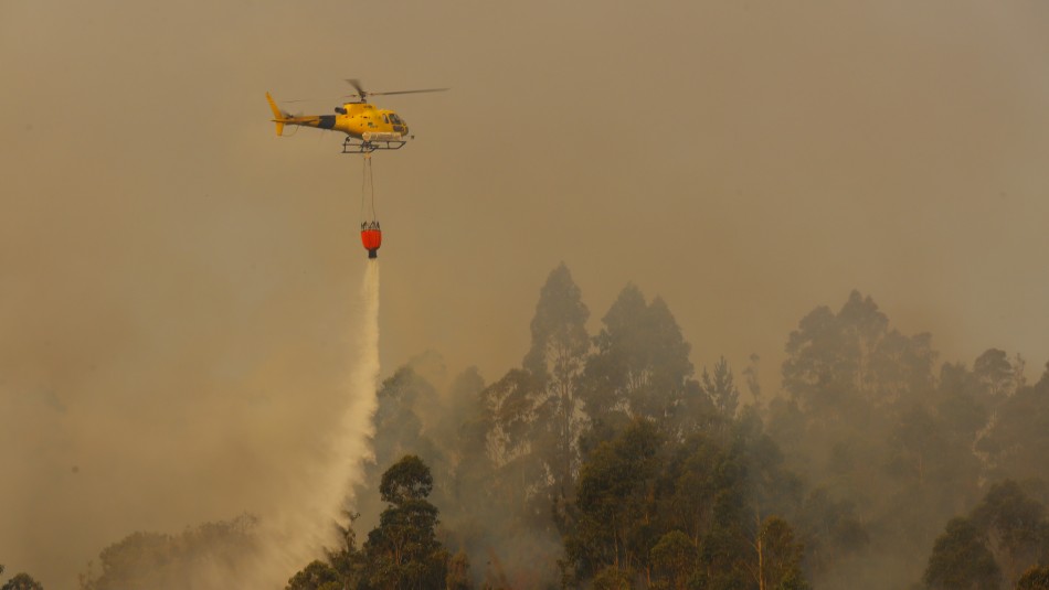 Incendio Gobierno se querella contra quienes resulten responsables por incendios forestales en el Biobío