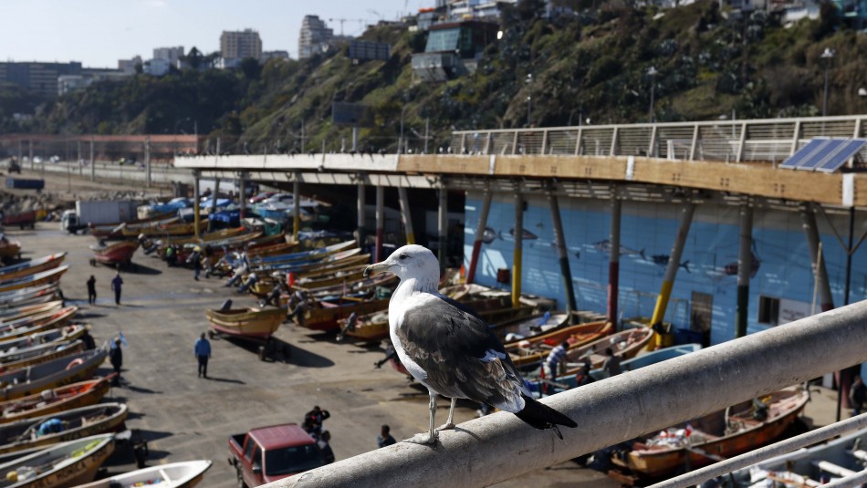 Imagen de archivo Valparaíso con sol y agradable: Revisa el pronóstico del tiempo