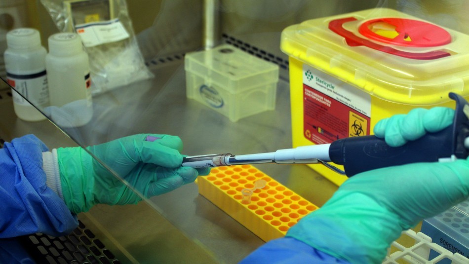 Aumento en intoxicados por Salmonella Intoxicaciones por Salmonella en la Región Metropolitana llegan a su cifra más alta en cinco años