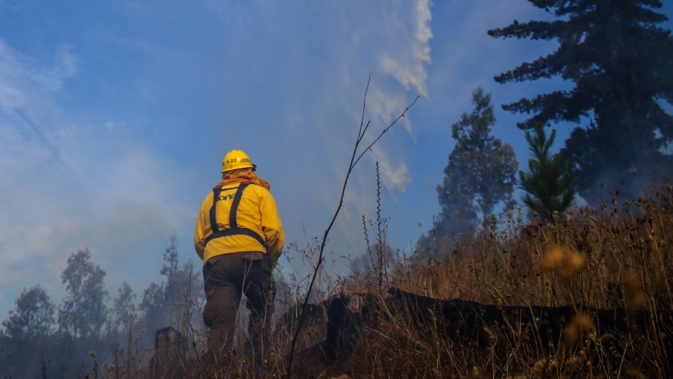 Declaran Alerta Roja Por Incendio Forestal Que Amenaza A Viviendas En Chimbarongo Meganoticias 1665