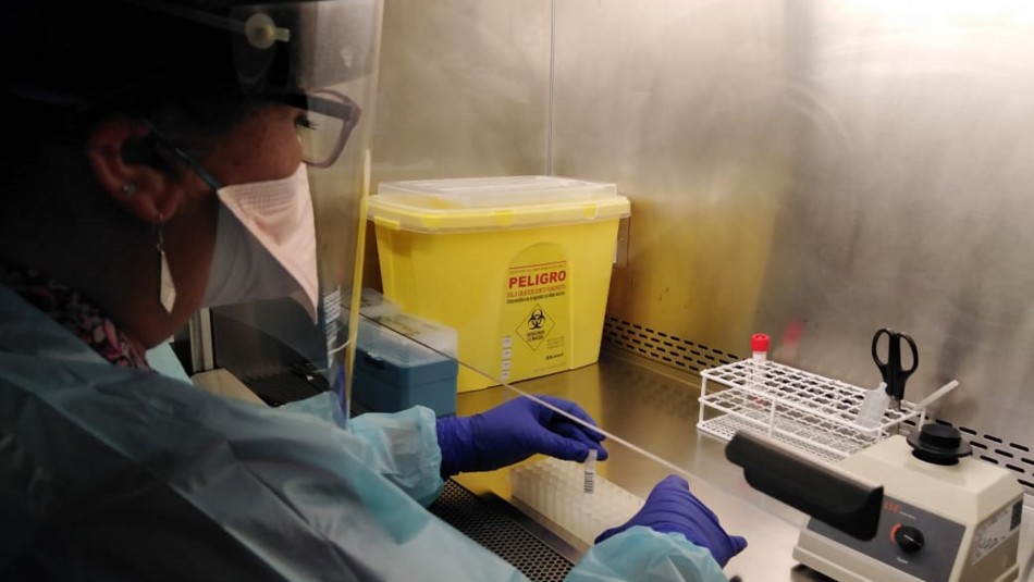 En cuatro horas se obtiene el resultado: Test de detección rápida de coronavirus llega a Chile En cuatro horas se obtiene el resultado: Test de detección rápida de coronavirus llega a Chile