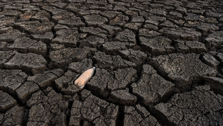 Aumento de temperatura en el mundo acabaría con mitad de la vida vegetal y animal del mundo Aumento de temperatura en el mundo acabaría con mitad de la vida vegetal y animal del mundo