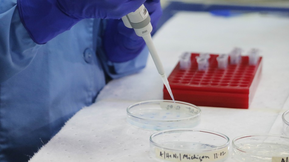 vacuna coronavirus chile Científico chileno lidera trabajo de vacuna contra coronavirus: