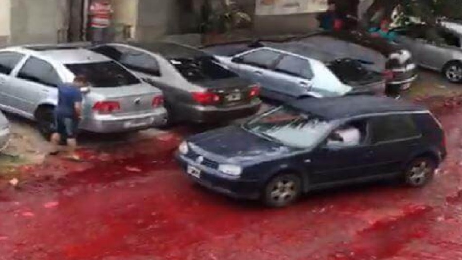 Miles de litros de sangre animal fueron derramados en calles argentinas tras explosión de depósito Miles de litros de sangre animal fueron derramados en calles argentinas tras explosión de depósito