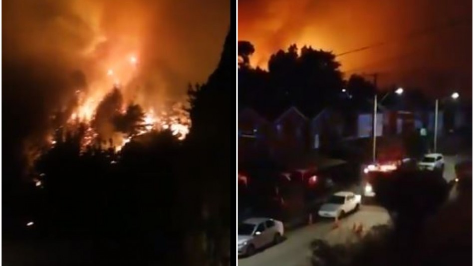 Alerta Roja por incendio forestal que amenaza viviendas en Constitución Alerta Roja por incendio forestal que amenaza viviendas en Constitución