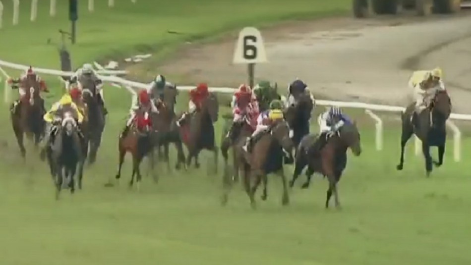 Longines Gran Premio Latinoamericano 2020 Ejemplar Tetaze de Argentina se consagró campeón del Gran Premio Latinoamericano 2020