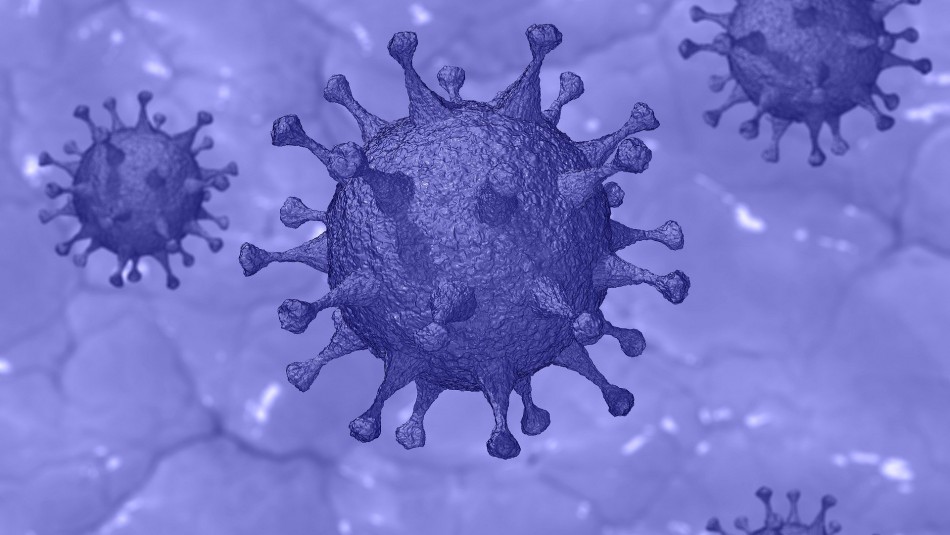 Coronavirus en Chile: Revisa cuáles son las regiones del país que no presentan contagios Coronavirus en Chile: Revisa cuáles son las regiones del país que no presentan contagios