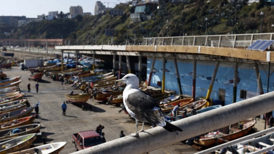 Valparaíso con algo de nubes: Revisa el pronóstico del tiempo Valparaíso con algo de nubes: Revisa el pronóstico del tiempo