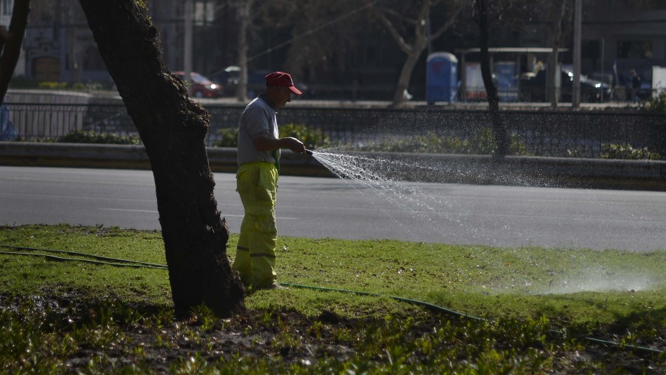 Jardinero Cuarentena en 7 comunas: ¿Qué pasa con trabajadoras de casa particular o jardineros?