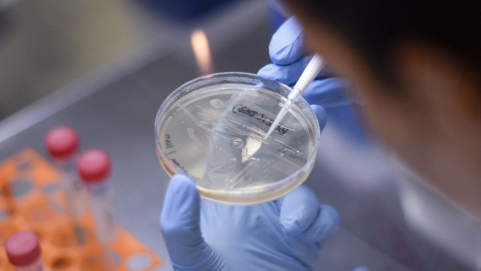 Imagen referencial de archivo Especialista aclara que pueden producirse contagios simultáneos de coronavirus e influenza