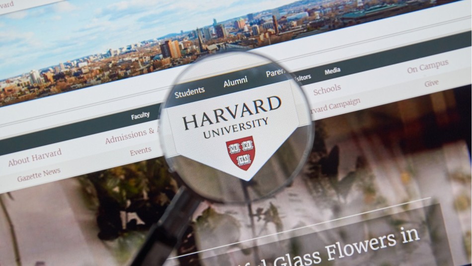 Estudia Gratis En Harvard Estos Son Los Cursos Online Que Ofrece La Universidad Mas Prestigiosa Del Mundo Meganoticias