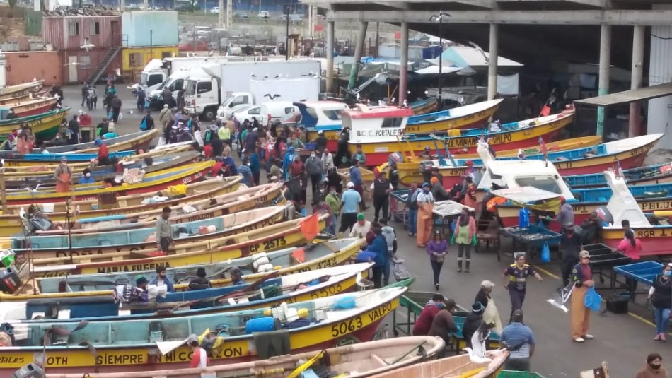 caleta portales Registran largas filas para comprar pescados y mariscos en caleta de Valparaíso