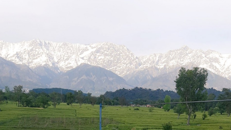 El Himalaya desde India Cuarentena en India logra bajar la contaminación y deja ver el Himalaya totalmente nevado