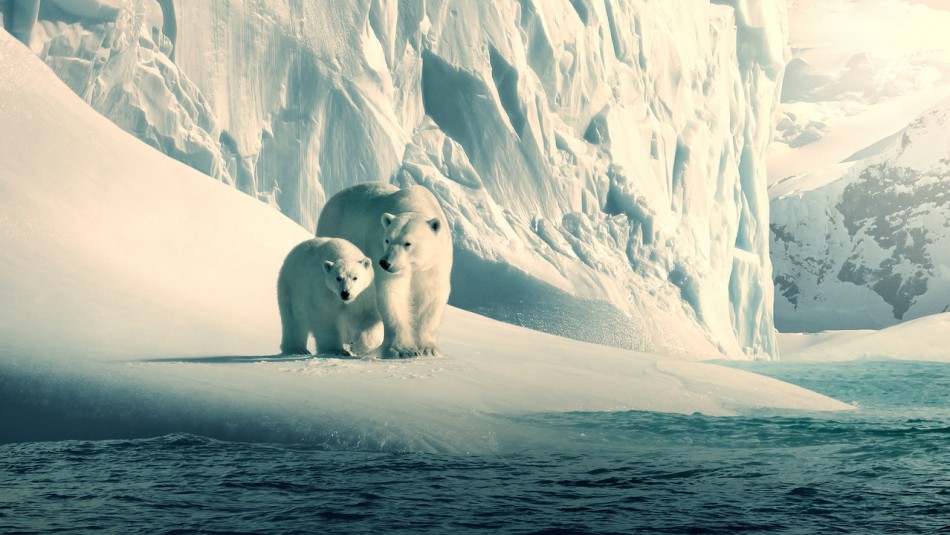 Our Planet Películas y documentales gratis: Netflix libera contenido en su canal de Youtube