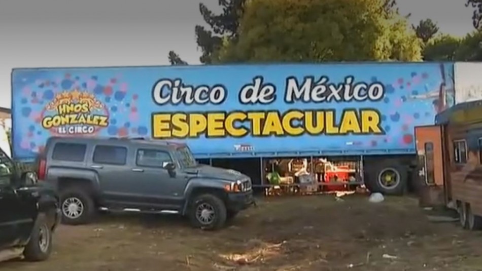 Circo en Temuco vende frutas y verduras La historia de un circo mexicano varado en Temuco: Vende fruta y verdura por delivery