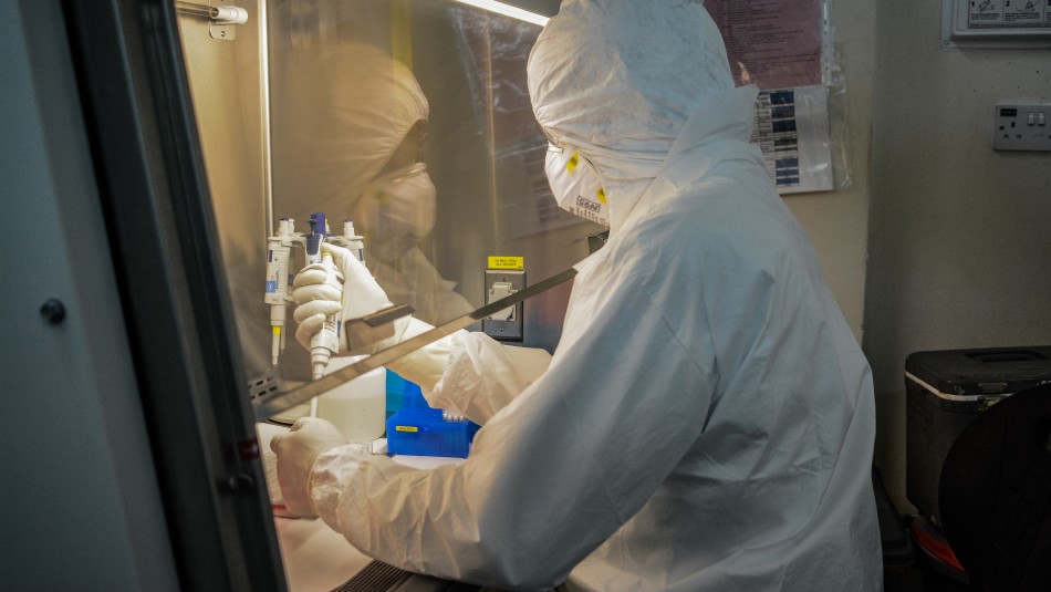 Coronavirus Laboratorio chino experimenta con éxito en monos una vacuna contra el coronavirus