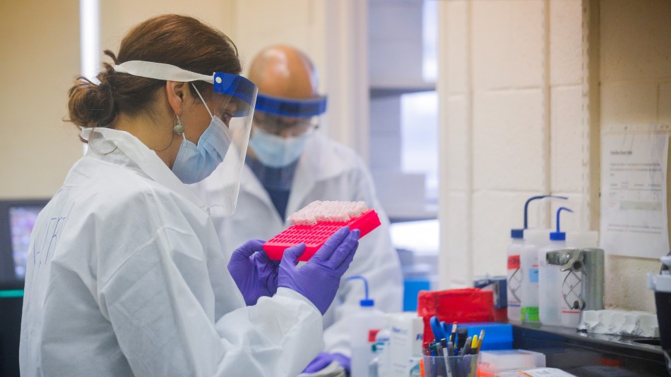 Test rápido olfativo Coronavirus: Ingenieros UC desarrollan kit olfativo para detectar casos asintomáticos