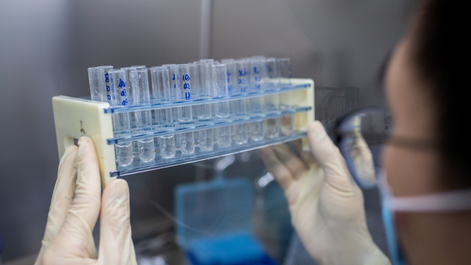 Laboratorio informó que tendría vacuna de emergencia contra coronavirus lista en septiembre Laboratorio informó que tendría vacuna de emergencia contra coronavirus lista en septiembre