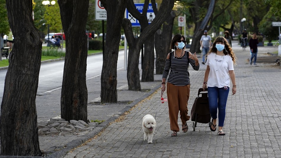 ¿Se reducen los paseos de mascotas? ¿Cuántas veces puedo ir a comprar?: Así operarán los permisos temporales ¿Se reducen los paseos de mascotas? ¿Cuántas veces puedo ir a comprar?: Así operarán los permisos temporales